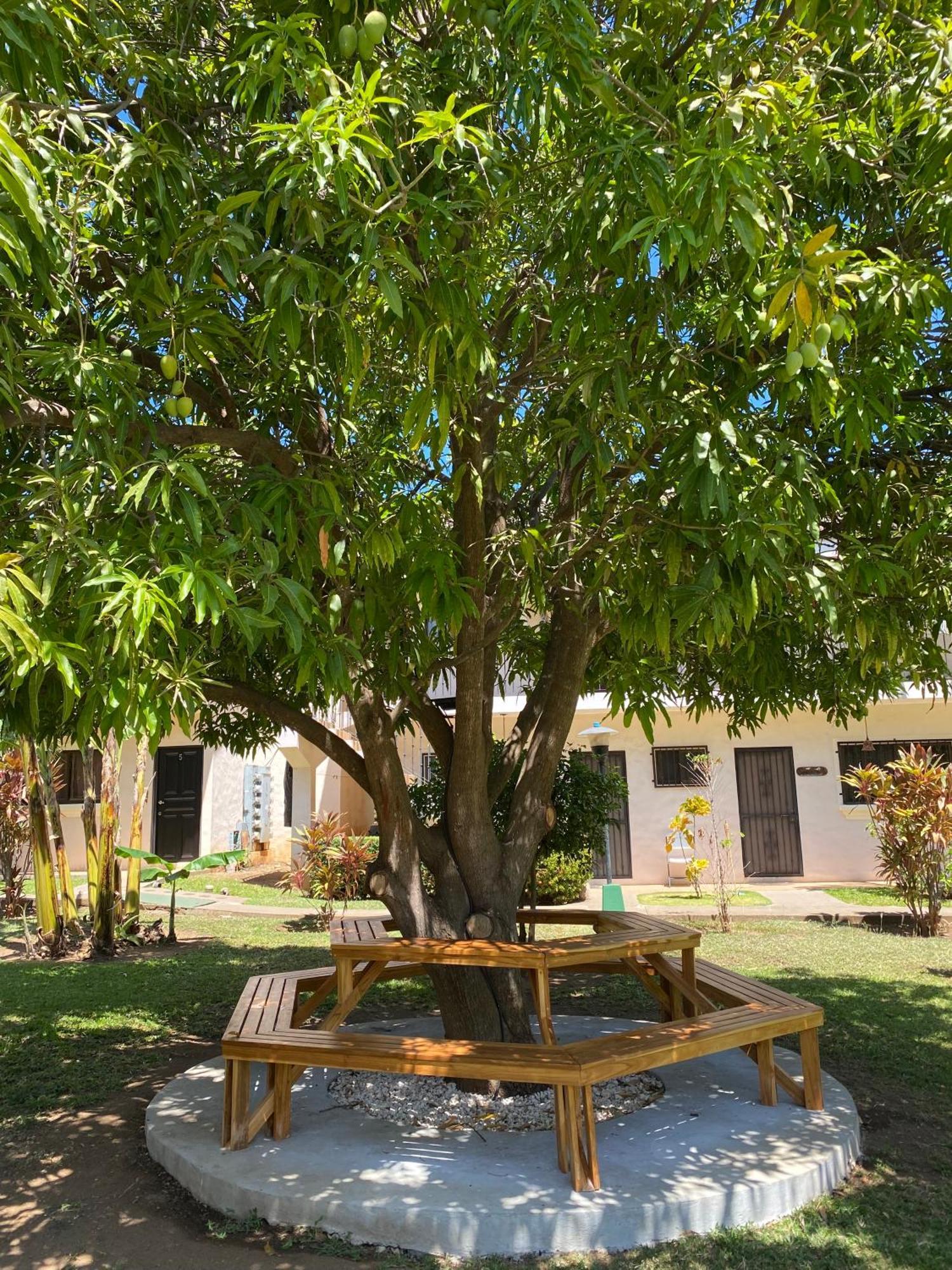 Tucan Studio Ocotal Coco Pokoj fotografie